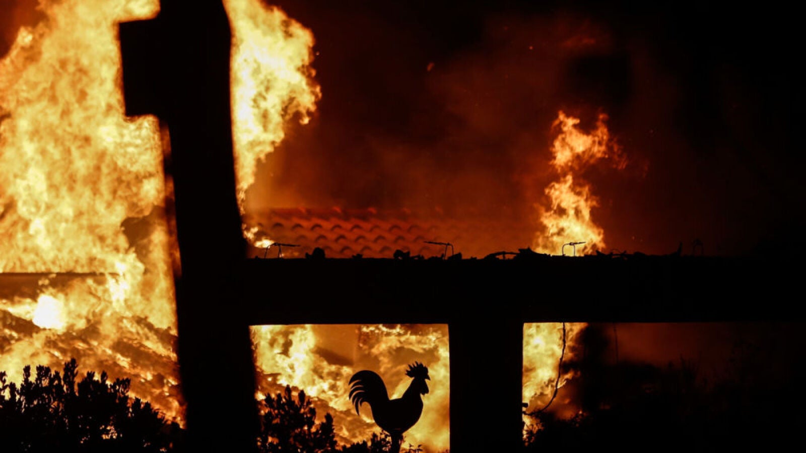 Continúa la búsqueda de víctimas tras los incendios en Grecia, que asciende ya a 85