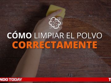 Como limpiar el polvo correctamente Como limpiar el polvo correctamente