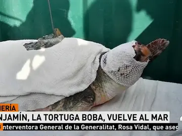TORTUGA TORTUGA