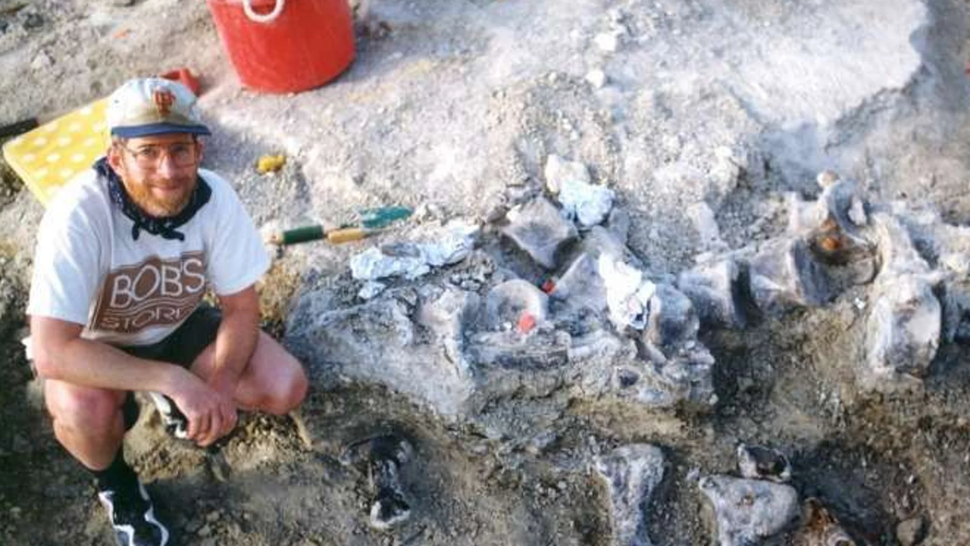 Imagen del pie Imagen del pie