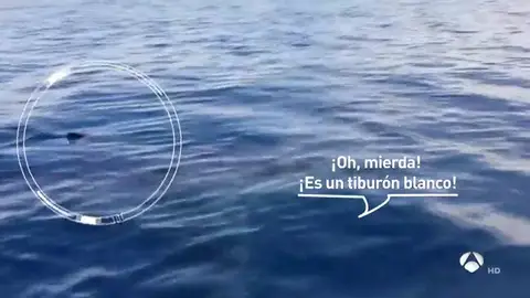 TiburonA3D TiburonA3D