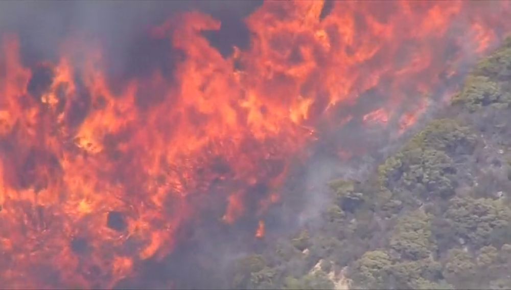 Los incendios en California ya han arrasado 4.500 hectáreas