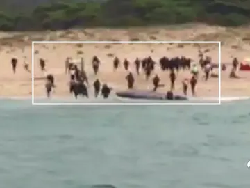 Ascienden a 751 los inmigrantes rescatados en el Estrecho Ascienden a 751 los inmigrantes rescatados en el Estrecho