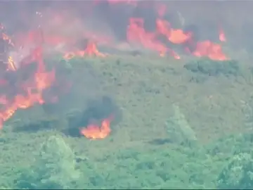 Los incendios forestales en California dejan tres muertos y siete heridos. Los incendios forestales en California dejan tres muertos y siete heridos.