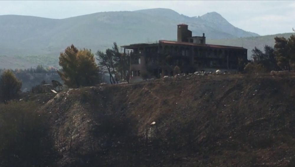 Se eleva a 88 el número de muertos en los incendios de Grecia