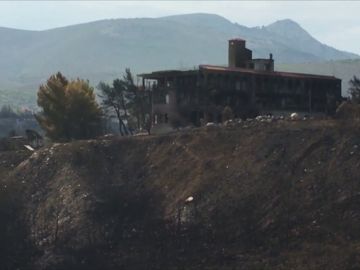 Se eleva a 88 el número de muertos en los incendios de Grecia