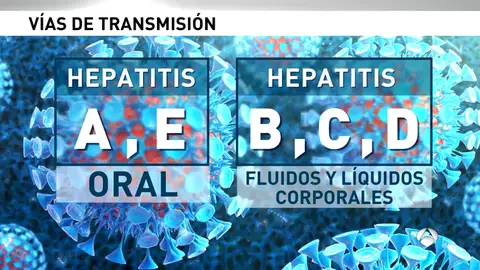 NUEVAHEPATITIS NUEVAHEPATITIS