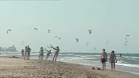 surf surf