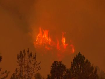 Mueren dos niños y su bisabuela en los incendios de California mientras los bomberos exhaustos intentan controlar las llamas