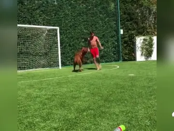 messi_perro messi_perro