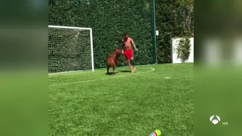 messi_perro messi_perro