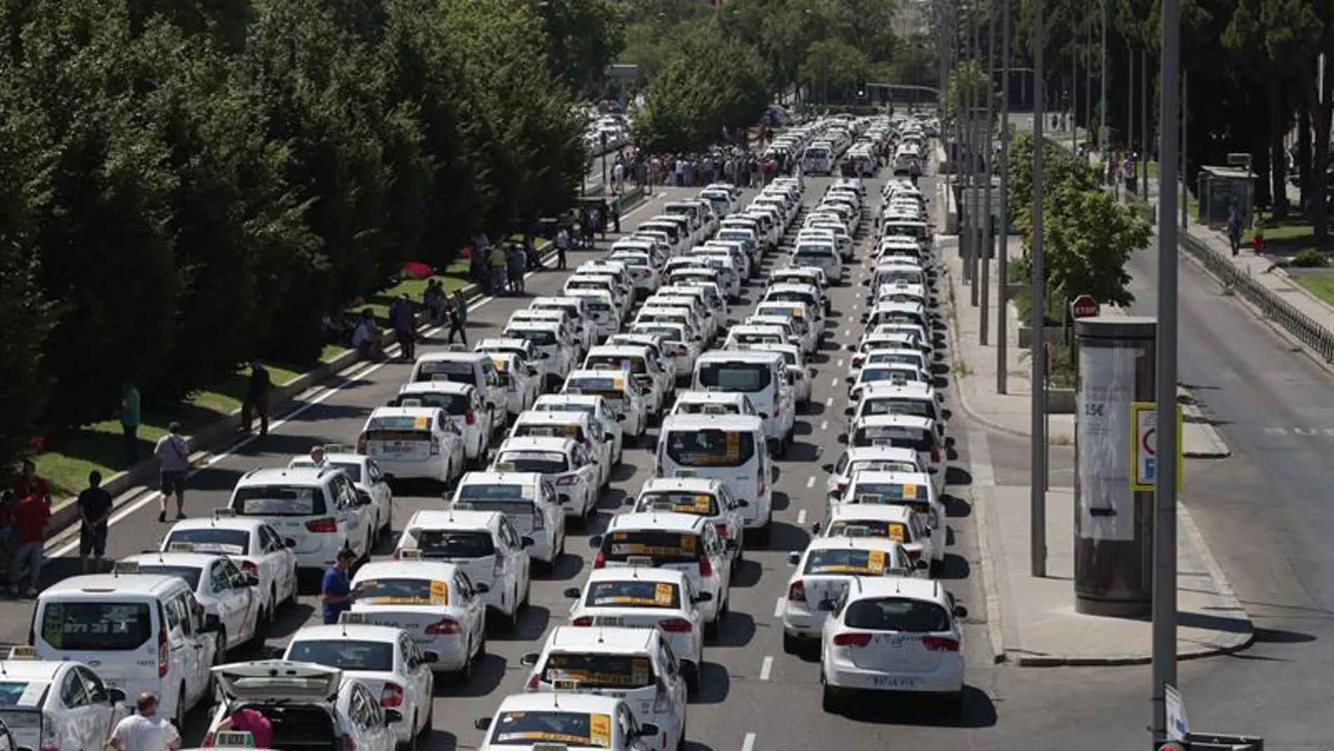 Un grupo de taxis permanecen concentrados a su paso por el ministerio de Fomento Un grupo de taxis permanecen concentrados a su paso por el ministerio de Fomento