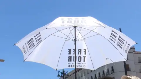 Asociaciones oficiales de guias turísticaas denuncian el intrusismo de las guías gratis Asociaciones oficiales de guias turísticaas denuncian el intrusismo de las guías gratis