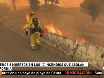 CALIFORNIA CALIFORNIA