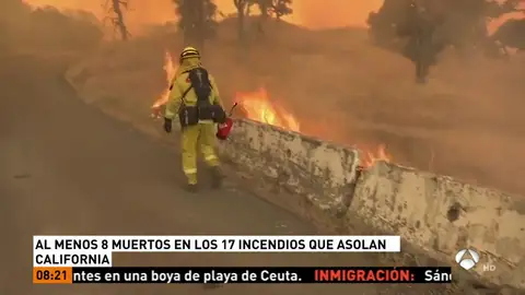 CALIFORNIA CALIFORNIA