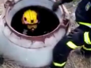 Los Bomberos de Málaga rescatan a un cachorro en el interior de un arroyo 