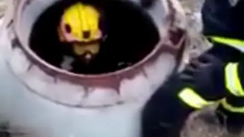 Los Bomberos de Málaga rescatan a un cachorro en el interior de un arroyo Los Bomberos de Málaga rescatan a un cachorro en el interior de un arroyo