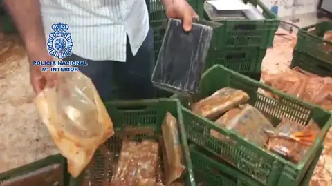 Incautan más de media tonelada de cocaína escondida dentro de bloques de comida congelada Incautan más de media tonelada de cocaína escondida dentro de bloques de comida congelada