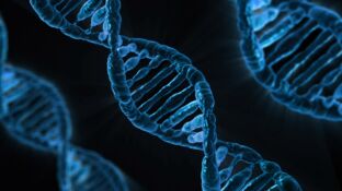 Desarrollan un nanorobot para combatir tumores cancer&iacute;genos 