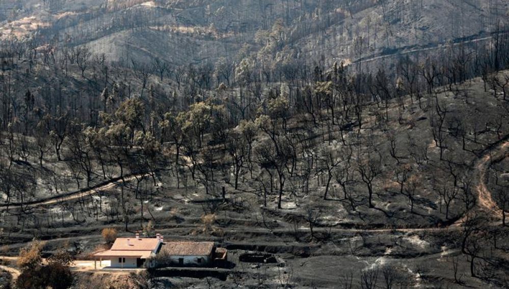  Vista de una zona devastada por los incendios en Portugal