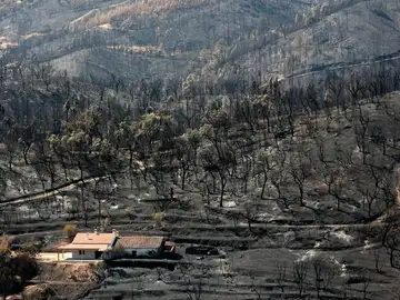 Vista de una zona devastada por los incendios en Portugal Vista de una zona devastada por los incendios en Portugal