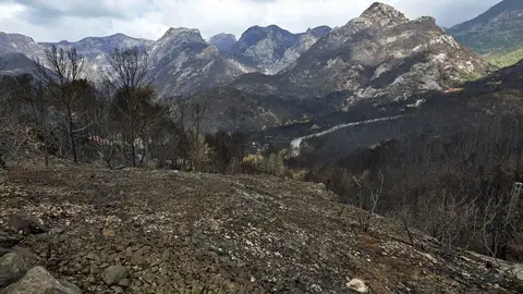 Imagen del incendio controlado en Llutxent Imagen del incendio controlado en Llutxent