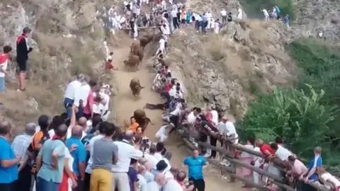 El primer encierro del Pilon en Falces deja un pequeño susto El primer encierro del Pilon en Falces deja un pequeño susto