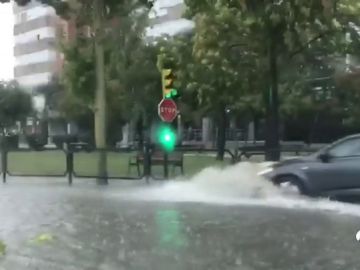 Una tormenta derriba árboles y obliga a cortar varias calles en Zaragoza