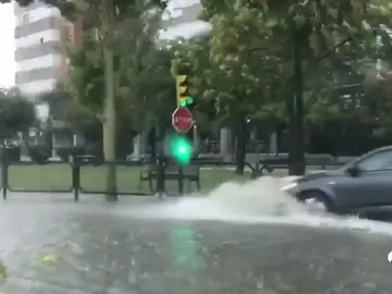 Una tormenta derriba árboles y obliga a cortar varias calles en Zaragoza Una tormenta derriba árboles y obliga a cortar varias calles en Zaragoza