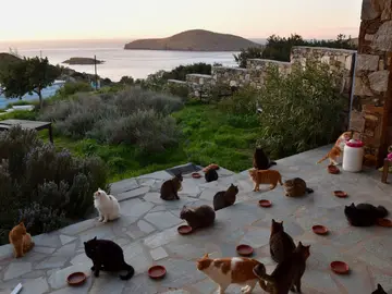 La oferta de empleo en una paradisiaca isla de Grecia La oferta de empleo en una paradisiaca isla de Grecia