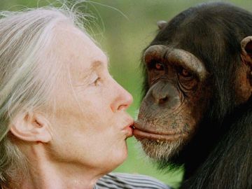 Jane Goodall