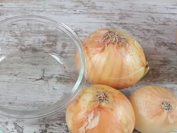 Cebolla Cebolla