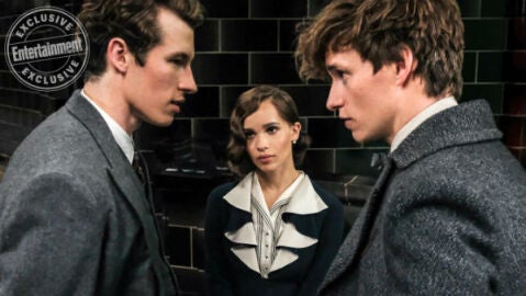 Nueva imagen 'Animales Fantásticos: Los Crímenes de Grindelwald'