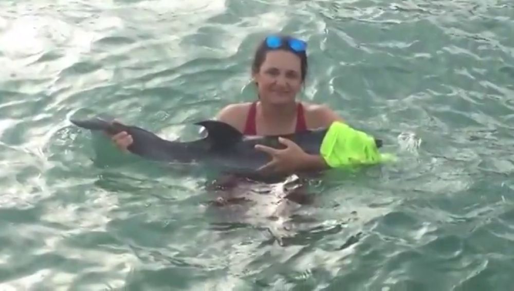 Rescatan una cría de delfín desorientada y en estado débil en una playa de La Manga 