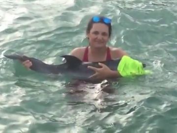 Rescatan una cría de delfín desorientada y en estado débil en una playa de La Manga 