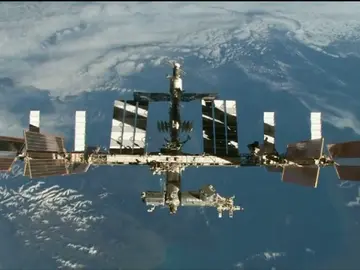 Gran cantidad de ejemplos de denuncias absurdas que a veces son muy bien compensadas Gran cantidad de ejemplos de denuncias absurdas que a veces son muy bien compensadas