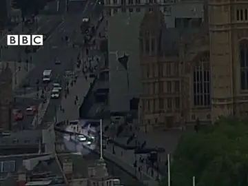 Dos heridos en Londres tras empotrarse un vehículo contra las barreras del Parlamento británico Dos heridos en Londres tras empotrarse un vehículo contra las barreras del Parlamento británico