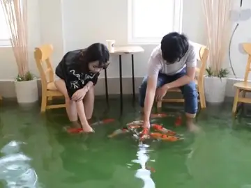 Una cafetería en Vietnam mezcla la pasión por el café y la pasión por los peces Una cafetería en Vietnam mezcla la pasión por el café y la pasión por los peces