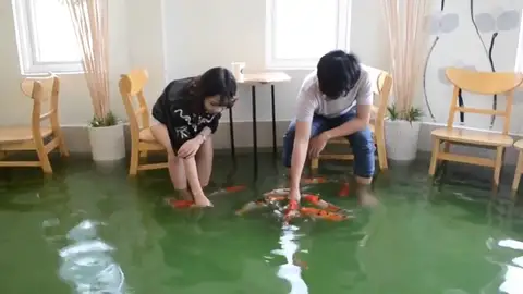 Una cafetería en Vietnam mezcla la pasión por el café y la pasión por los peces Una cafetería en Vietnam mezcla la pasión por el café y la pasión por los peces