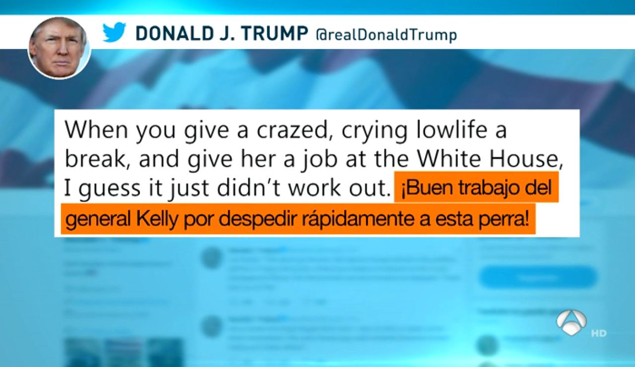 trump trump
