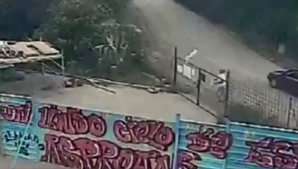El perro clavado en la verja
