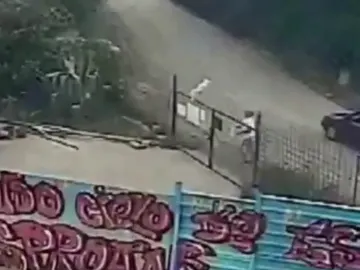 El perro clavado en la verja El perro clavado en la verja