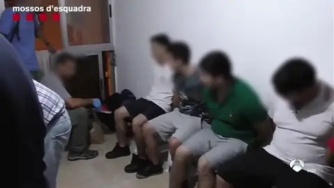 MOSSOS VIVIENDAS MOSSOS VIVIENDAS