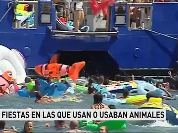 animales animales