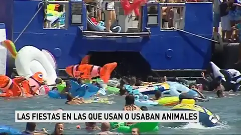 animales animales