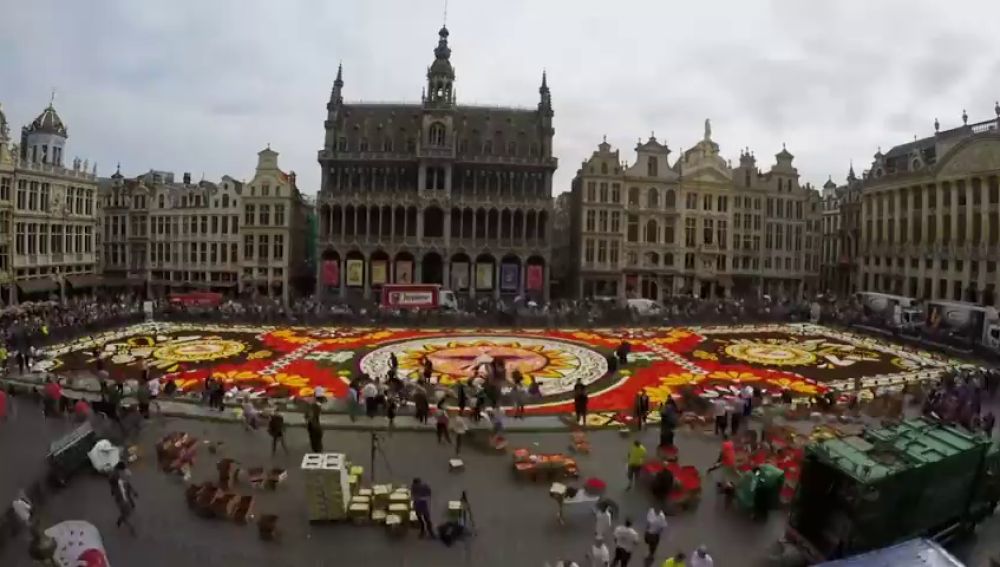 XXI Edición de alfombra floral en La Grand-Place de Bruselas