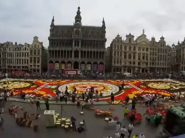 XXI Edición de alfombra floral en La Grand-Place de Bruselas XXI Edición de alfombra floral en La Grand-Place de Bruselas