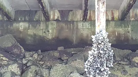 Parte de la estructura del puerto de Vigo Parte de la estructura del puerto de Vigo