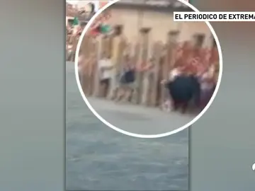 Cogida de toro Cogida de toro