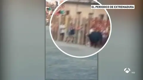 Cogida de toro Cogida de toro